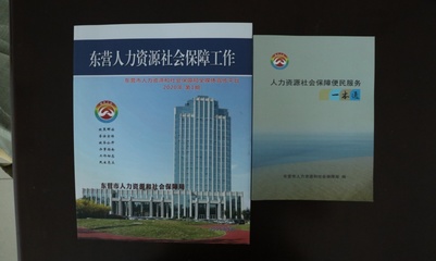 东营市人力资源和社会保障局在社会经济咨询服务中的作用与探索