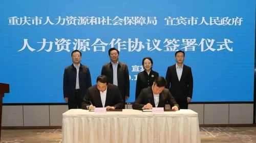 川渝协同新突破 重庆与宜宾推出多项公共服务异地通办